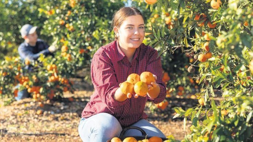 Çiftçi sayısı beş yılda 190 bin arttı