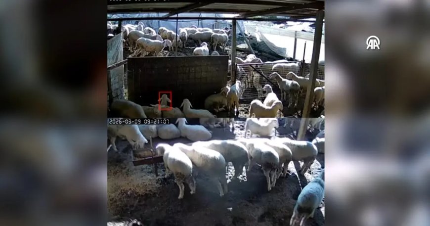 Denizli’de 5.1 büyüklüğündeki deprem anı kamerada