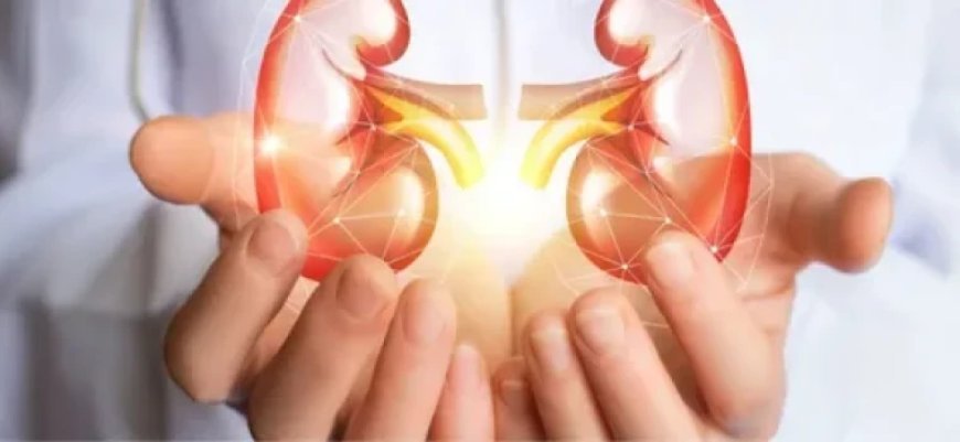 ÇERKEZKÖY İLÇE SAĞLIK MÜDÜRLÜĞÜ BÖBREK SAĞLIĞINA DİKKAT ÇEKTİ