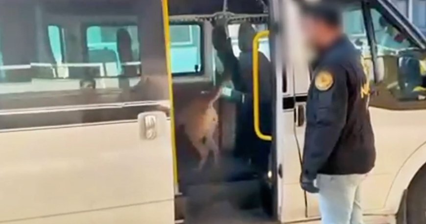 Torbacılara darbe. 1 tonu aşkın uyuşturucu ele geçirildi