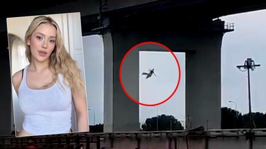 Osmangazi Köprüsü’nden atlayan kadının ünlü fenomen olduğu ortaya çıktı