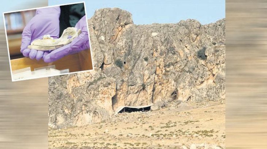 En eski köpek DNA’sı bizde