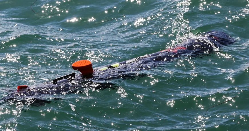 Görünmeyen tehdit: Su altında yüzlerce kilometre ilerleyip saldırı yapabiliyor