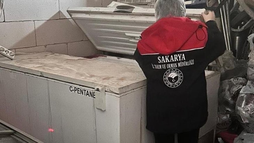 Adapazarı'nda 200 kilo tarihi geçmiş tavuk eti ele geçirildi
