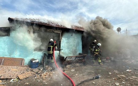 Evdeki yangına müdahaleyi izlerken köpek saldırısında yaralandı