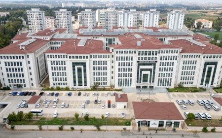 Ağabeyini ve kız kardeşini bıçakladı! 'Kendimi savundum' dedi: Karar çıktı