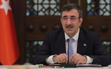 Cumhurbaşkanı Yardımcısı Yılmaz'dan akaryakıt fiyatlarıyla ilgili açıklama