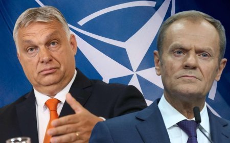 NATO resti AB ülkelerini birbirine düşürdü! 'Tek çıkış yol var'