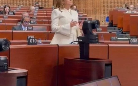 Belediye Başkanı Topak, Avrupa Konseyi'nde Ergene'yi anlattı