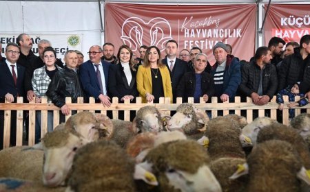 Tekirdağ'da 'Küçükbaş Hayvancılık Festivali' başladı