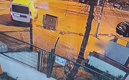 Yok böyle vicdansızlık! Kaldırımda yatan köpeği ezip yollarına devam ettiler