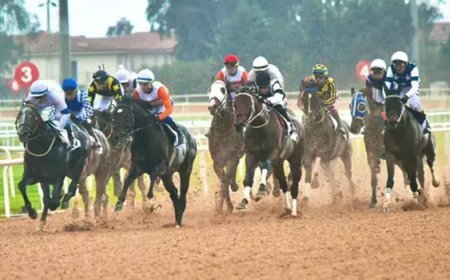 Adana’da Akdeniz Derbisi’nin kazananı ‘Dapper Man’ oldu!