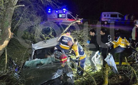 Otomobil Ağaca Çarptı, 1 Ölü 3 Yaralı