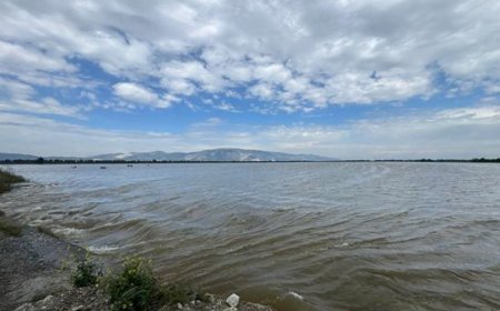 Büyük Menderes taştı! 65 bin dönüm tarım arazisi sular altında