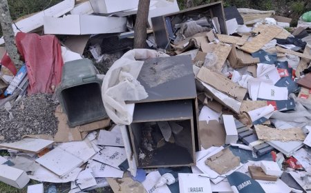 Çorlu’nun Az Sayıda Kalan Ağaçlık Alanlarından Biri Çöplüğe Çevrildi