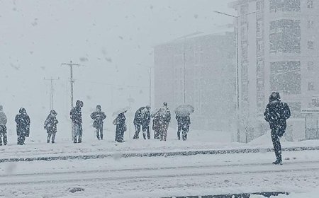 Kentte lapa lapa kar şaşkınlığı! 2 gündür yağıyor... 84 yerleşim yeri ulaşıma kapandı
