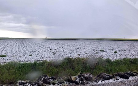 Saray'da dolu etkili oldu