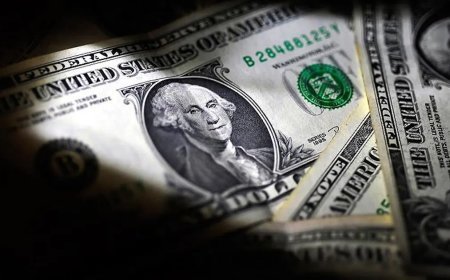 Dolar tarihi yüksek seviyede