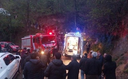 Ordu'da korkunç kaza! Uçuruma yuvarlanan araçta baba ve kızı hayatını kaybetti