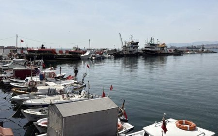 Tekirdağ'da balıkçılar, sezondan memnun