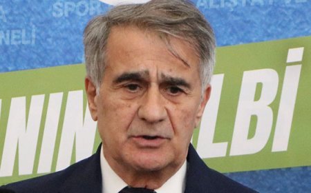 Şenol Güneş: 'Milli takımın çeyrek final görüntüsü var!'