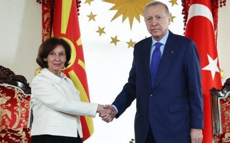 Cumhurbaşkanı Erdoğan Kuzey Makedonya Cumhurbaşkanı Gordana Siljanovska-Davkova ile görüştü