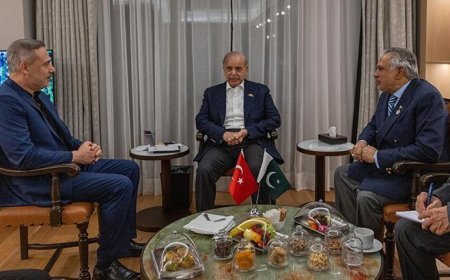 Dışişleri Bakanı Hakan Fidan, Pakistan Başbakanı Şerif ile görüştü
