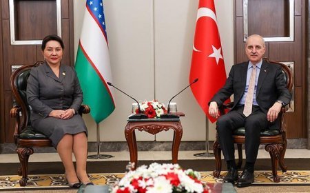 TBMM Başkanı Kurtulmuş, Özbekistan Senatosu Başkanı Narbaeva ile görüştü
