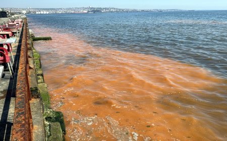 Tekirdağ sahilinde alg patlaması nedeniyle deniz turuncu renge büründü