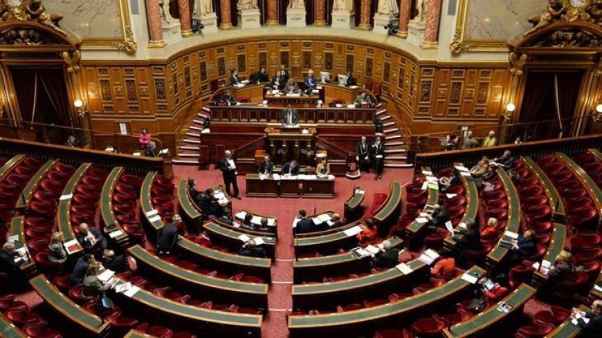 Fransız Senatosu kabul etti: 15 yaşından küçüklere kısmi sosyal medya yasağı