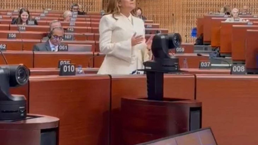 Belediye Başkanı Topak, Avrupa Konseyi'nde Ergene'yi anlattı