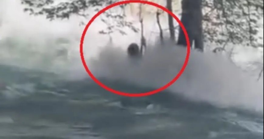 Mersin'de Berdan Çayı'na atlayan genç, suda kayboldu