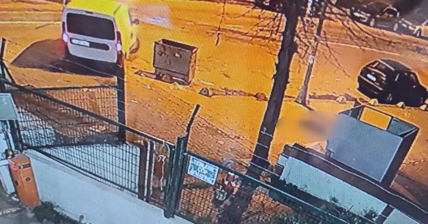 Yok böyle vicdansızlık! Kaldırımda yatan köpeği ezip yollarına devam ettiler