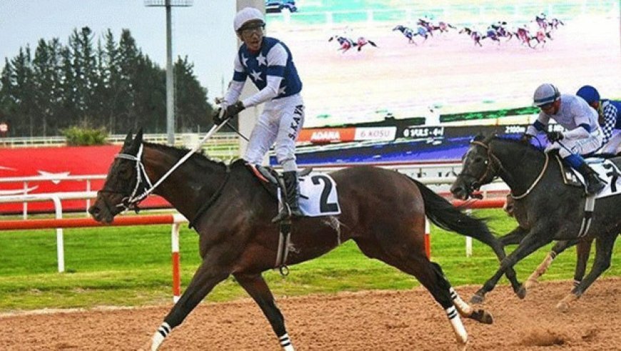 Adana’da Akdeniz Derbisi’nin kazananı ‘Dapper Man’ oldu