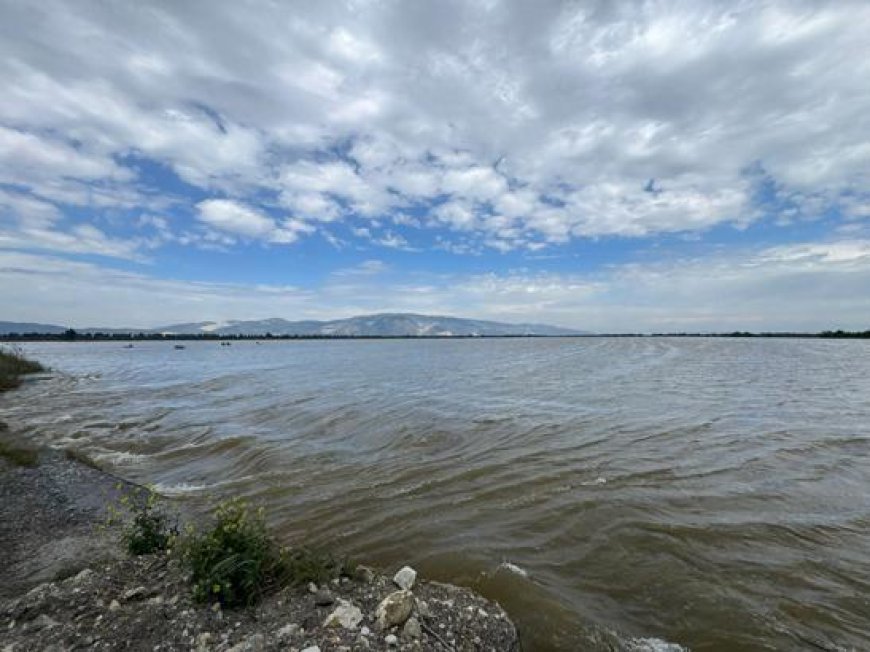Büyük Menderes taştı! 65 bin dönüm tarım arazisi sular altında