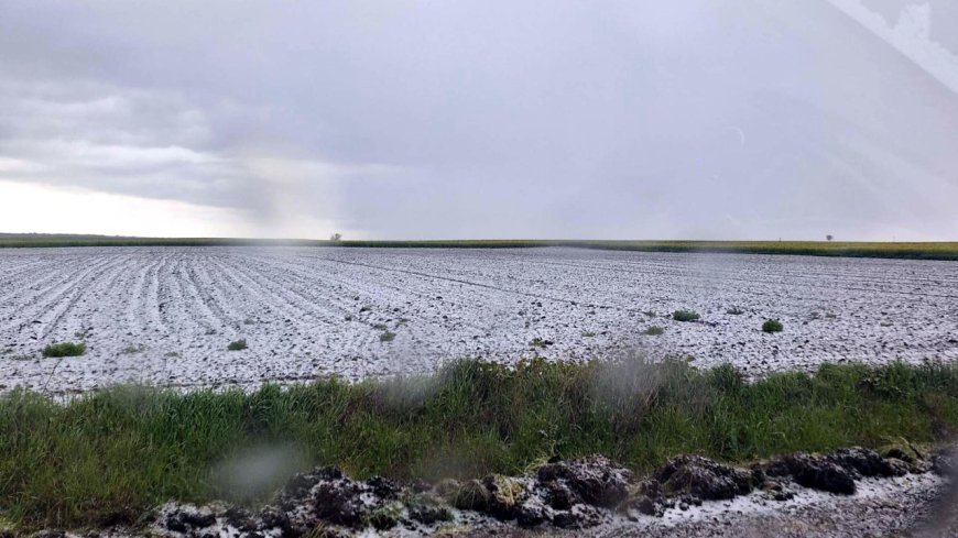 Saray'da dolu etkili oldu