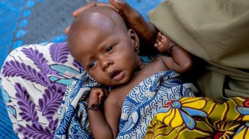 'Bebek fabrikasına' baskın! Hamile kadınlar ve çocuklar kurtarıldı