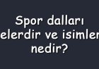 Spor dalları nelerdir ve isimleri nedir? Az bilinen, olimpik, ekstrem ve geleneksel sporlar