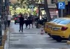 Sahibinin elinden kaçan dana korku dolu anlar yaşattı