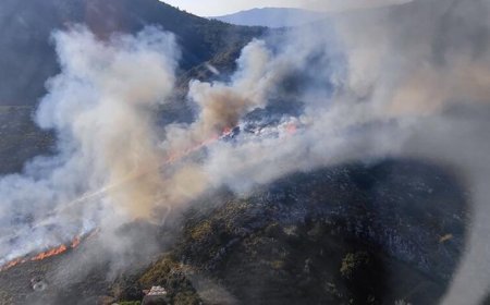 SON DAKİKA: Muğla Marmaris'te orman yangını çıktı