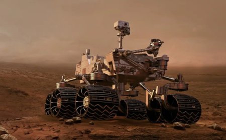NASA’dan tarihi keşif. Mars’ta yaşamın yapı taşları bulundu