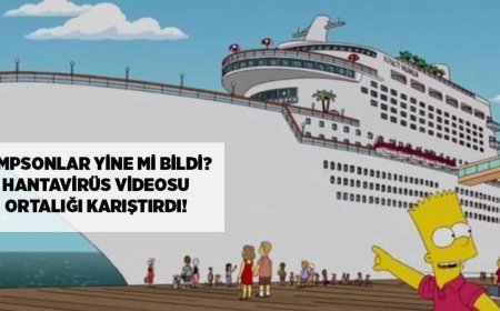 HANTAVİRÜS HABERLERİ: Simpsonlar yine mi bildi? Hantavirüs videosu ortalığı karıştırdı