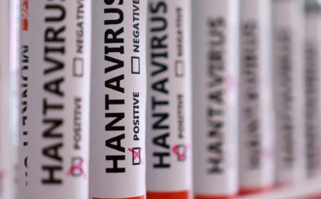 Türkiye'de hantavirüs vakası var mı? Sağlık Bakanlığı'ndan açıklama
