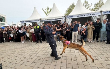 Jandarmanın arama-kurtarma köpeği Çınar’ın son gösterisi, ilgiyle izlendi