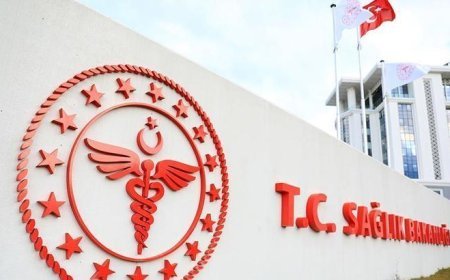 Hantavirüs vakası görülen gemideki 3 Türk vatandaşı yarın Türkiye'ye getirilecek