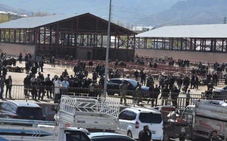 Van’daki hayvan pazarında ortalık savaş alanına döndü! Silahlı kavga faciayla bitti: 1 ölü, 13 yaralı