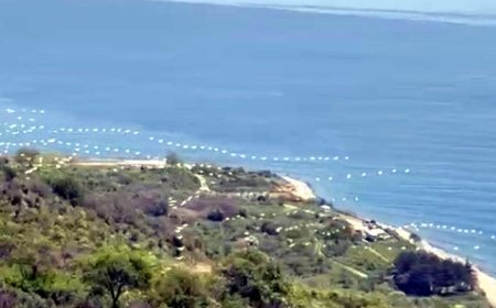 Gökyüzünü süsleyen pelikanların geçişi kamerada