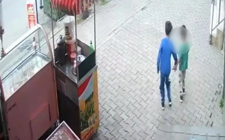 Bıçakla kediye zarar veren çocuklar, kendilerini uyaran kadının üzerine yürüdü
