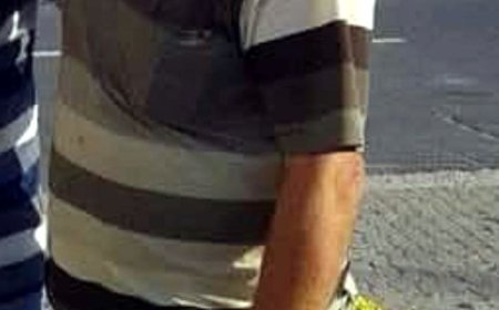 Yürürken arının soktuğu nalbant öldü