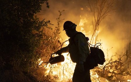 ABD'de California alevlere teslim! Yangın felaketi büyüyor, 14 binden fazla dönüm etkilendi